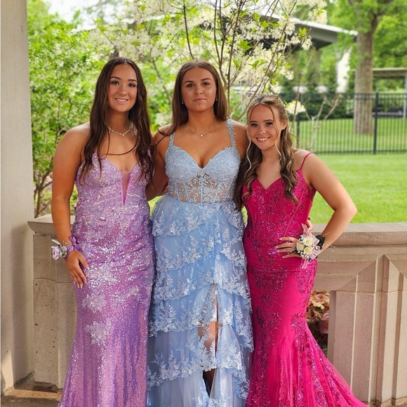 Elegant Pink Sequin Gown - Picture 4 of 4